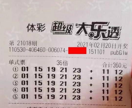 王中王018期指一生肖，揭秘背后的奧秘與意義，揭秘生肖奧秘，王中王生肖背后的意義與秘密
