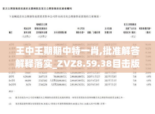 王中王一肖石準(zhǔn)，探索關(guān)鍵詞背后的故事，王中王一肖石準(zhǔn)背后的故事探索