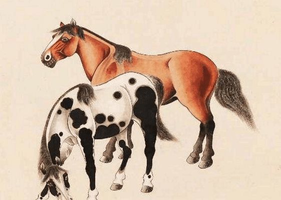 馬一王中王特平一肖圖，深度解析與SEO優(yōu)化策略，深度解析馬一王中王特平肖圖，SEO優(yōu)化策略探討