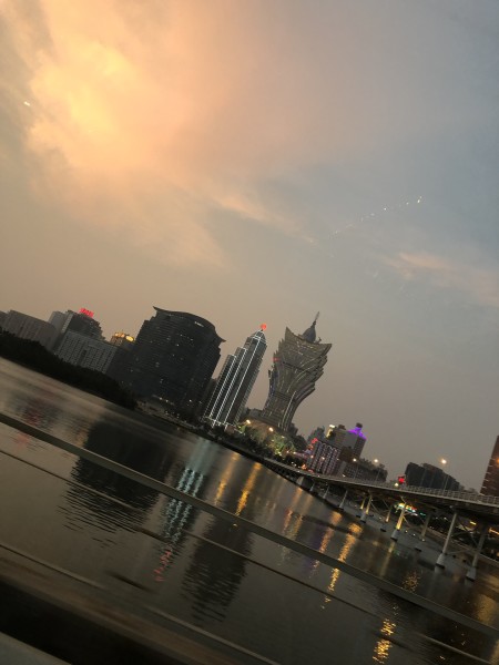 澳門今晚必開一肖一特，深度解析與預(yù)測，澳門今晚生肖特碼深度解析與預(yù)測，一肖一特必開趨勢探討