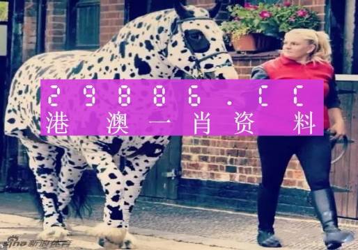香港王中王一肖一特一中，揭秘背后的故事與秘密，香港王中王一肖一特一中，揭秘背后的神秘故事與傳奇