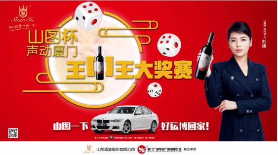 揭秘王中王背后的故事，從肖中的視角看其在SEO領(lǐng)域的輝煌成就，肖中視角下的王中王，SEO領(lǐng)域的輝煌成就揭秘