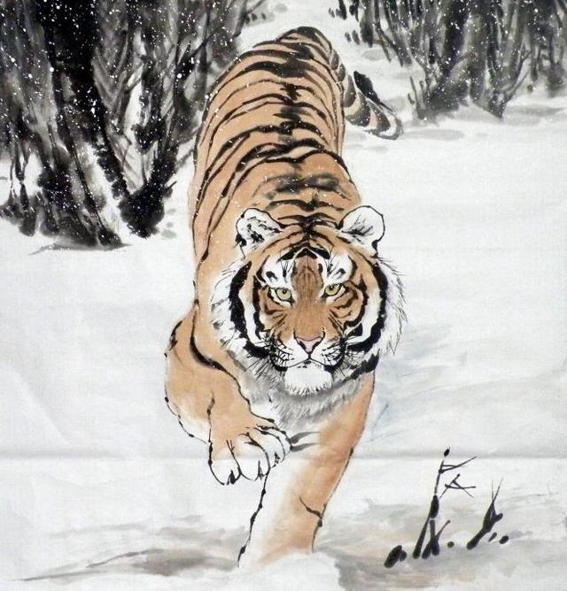 猛虎下山王中王，揭秘一生肖的神秘魅力，揭秘生肖之王——猛虎下山之神秘魅力