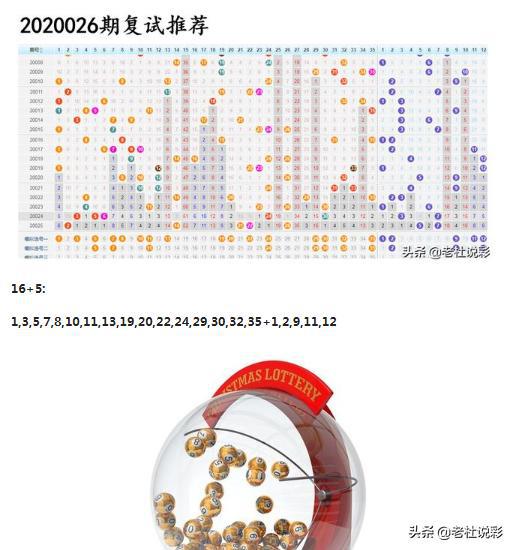 王中王026期指一生肖，深度解讀與SEO優(yōu)化策略，王中王026期生肖深度解讀與SEO優(yōu)化策略全解析