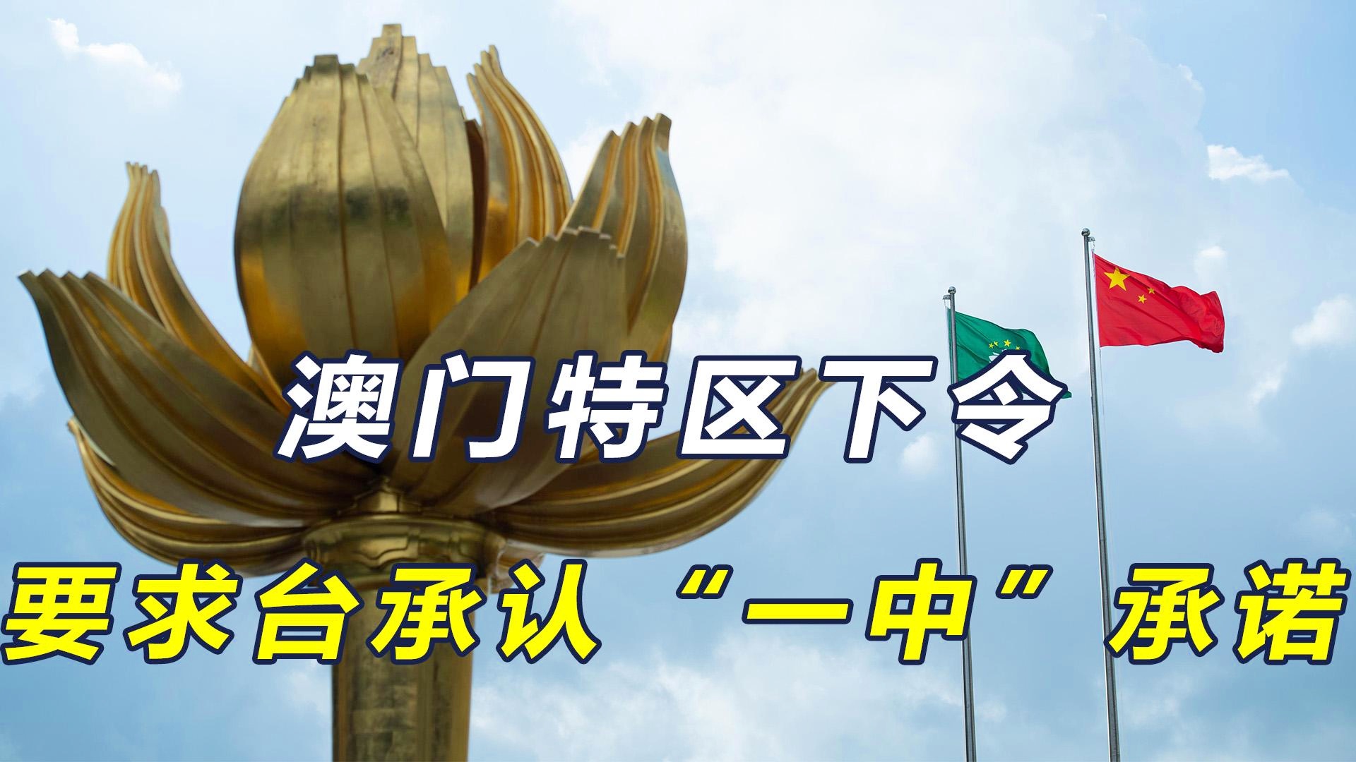 澳門一碼一肖一特一中今晚預(yù)測(cè)與探索，澳門今晚一碼一肖一特一中預(yù)測(cè)與揭秘