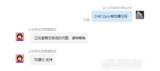 王中王一肖碼，探索關(guān)鍵詞背后的奧秘，王中王一肖碼，揭秘關(guān)鍵詞背后的奧秘