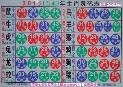 揭秘2025十二生肖與數(shù)字彩票的神奇聯(lián)系——49碼表全解析，揭秘十二生肖與數(shù)字彩票的神秘聯(lián)系，2025年49碼表深度解析