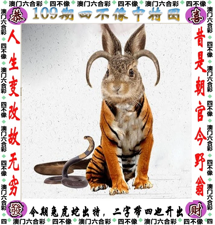 四不像王中王資料一肖，深度解析與探索，四不像王中王資料一肖，深度解析與探索揭秘