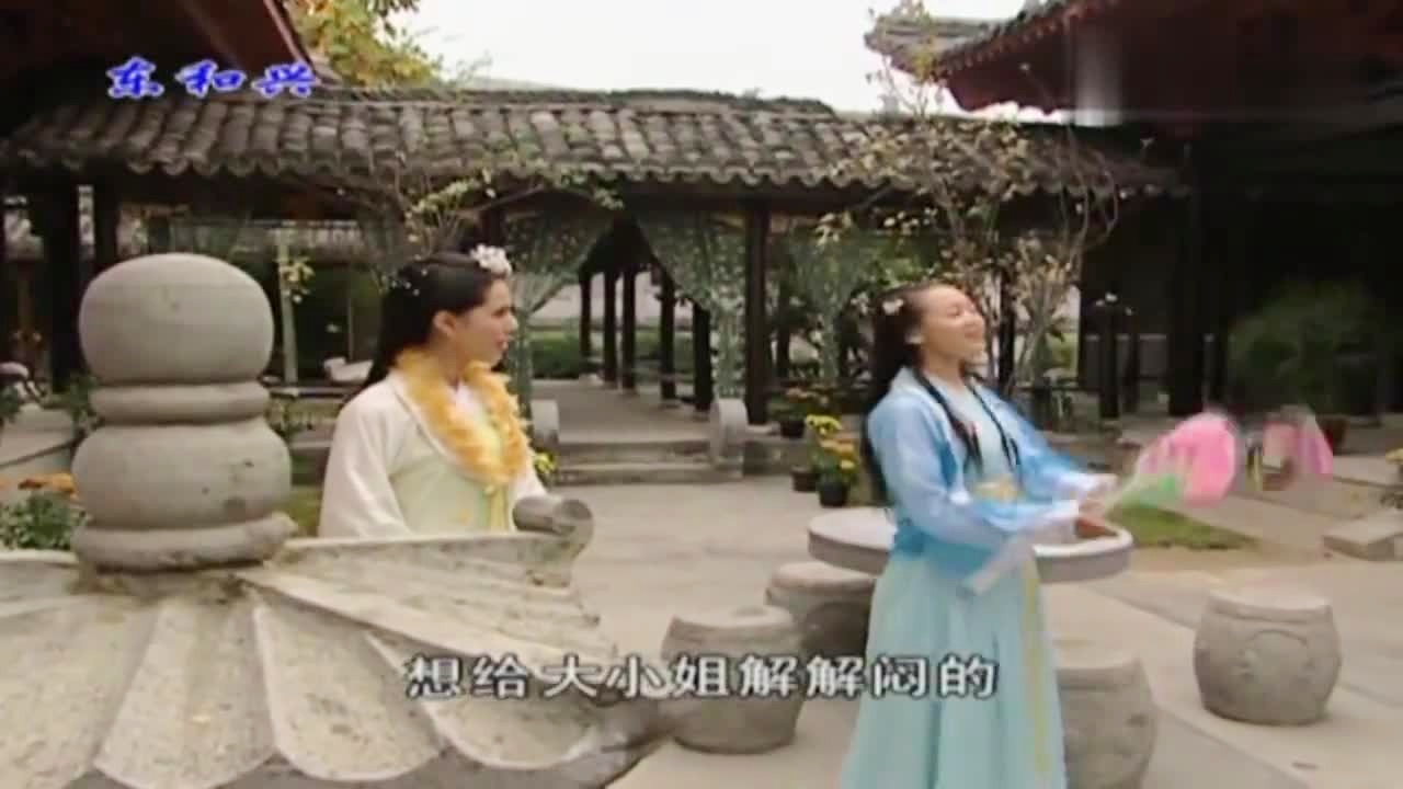 劉伯溫白小姐一肖期期準，神秘預測背后的真相，劉伯溫白小姐生肖預測揭秘，神秘預測背后的真相