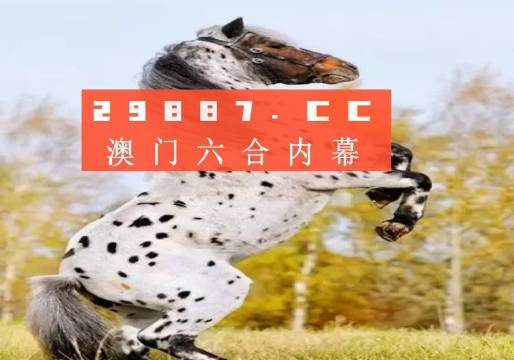探索澳彩歷史開獎結果，回顧與預測（2023年），回顧與預測，澳彩歷史開獎結果探索（2023年）
