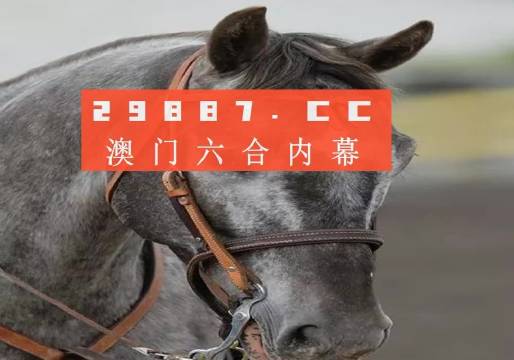 澳門(mén)一一碼一特一中準(zhǔn)選今晚，探索真實(shí)有效的選擇與策略，澳門(mén)今晚一特一中準(zhǔn)選碼，真實(shí)有效的選擇與策略探索