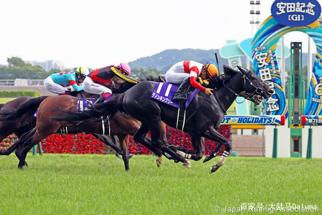 香港王中王與一馬中特肖的獨(dú)特魅力，深度解析與探索，香港王中王與一馬中特肖的獨(dú)特魅力，深度探索與解析