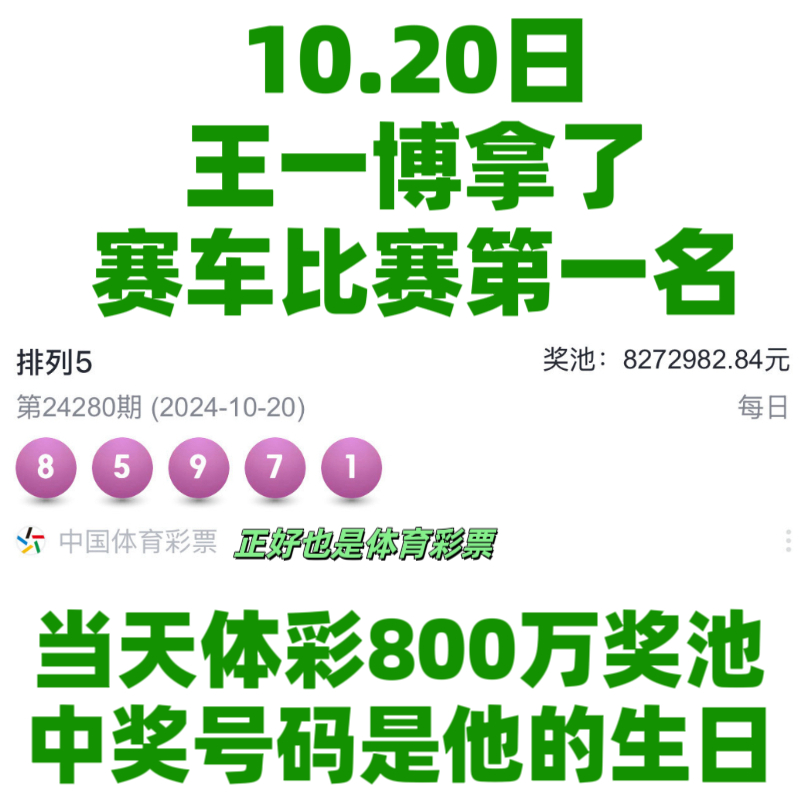 王中王一肖資料中特馬——深度解析與SEO洞察，王中王一肖特馬深度解析與SEO洞察揭秘