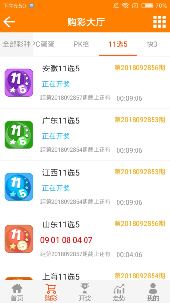 王中王資料一肖一特，深度解析與探索，王中王資料一肖一特，深度解析與探索揭秘