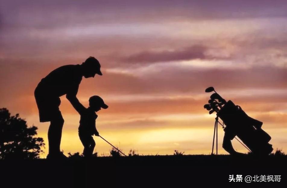 森林高手王中王與神秘生肖——深度解讀背后的故事與秘密，森林高手王中王與神秘生肖，故事背后的深度解讀與秘密探尋