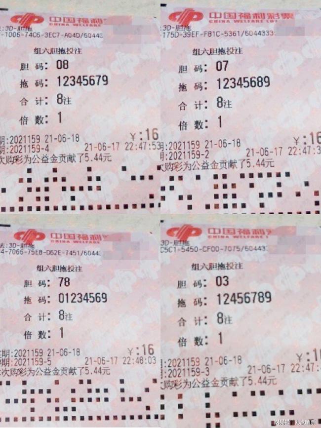 王中王四肖精選一肖新聞，揭秘背后的故事與趨勢，王中王四肖精選揭秘，背后的故事與趨勢聚焦一肖新聞