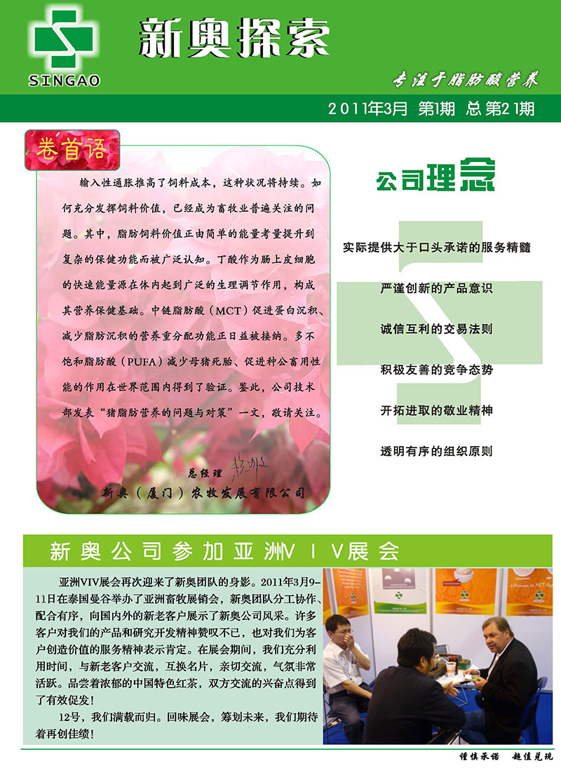 2025新澳正版資料精準解析，2025新澳正版資料精準解析手冊