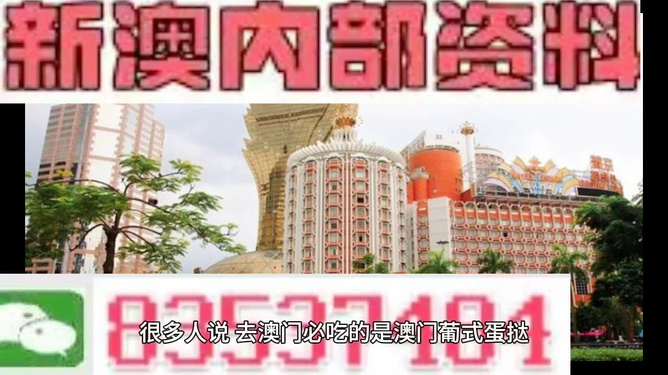 探索未來，2025年新澳門免費資料概覽，探索未來，2025新澳門免費資料概覽
