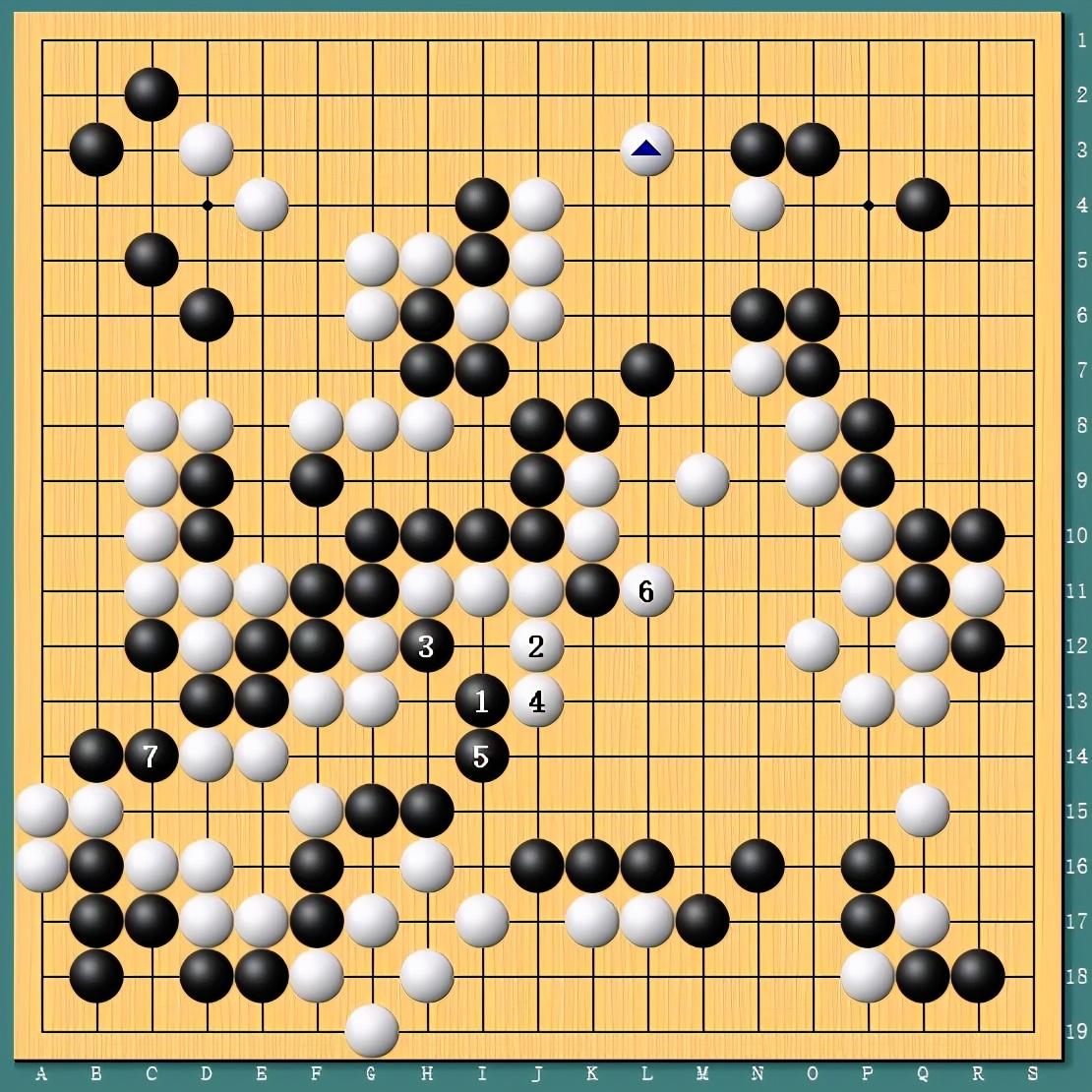 王中王四肖一碼資料論壇，探索與解析，王中王四肖一碼資料論壇，深度探索與解析