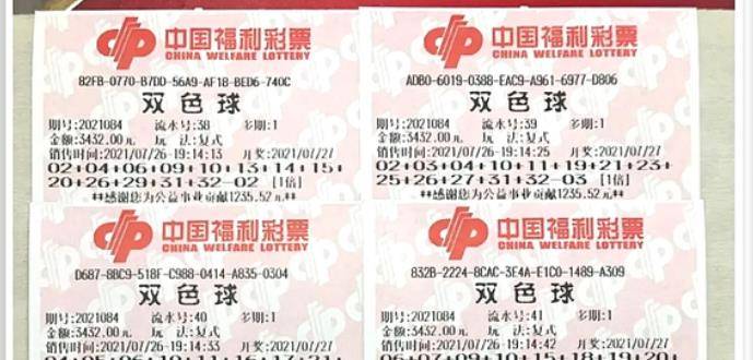 王中王084期指一生肖，解讀背后的秘密與生肖運(yùn)勢分析，王中王084期生肖揭秘，秘密解讀與運(yùn)勢展望