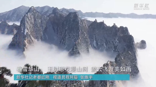 澳門最精準龍門，探索真正的精準之道，澳門最精準龍門，揭秘真正的精準之道