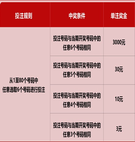 新澳門六開彩天天開獎結(jié)果，揭秘彩票背后的秘密，揭秘新澳門六開彩天天開獎背后的秘密