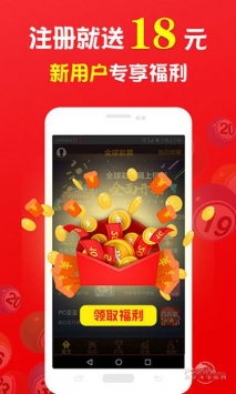 王中王的一肖，探尋背后的奧秘與故事，王中王的一肖，揭秘背后的奧秘與傳奇故事