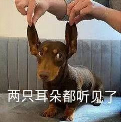王中王四不象必中一肖，揭秘背后的秘密與策略，揭秘王中王四不象必中一肖背后的秘密與策略之道
