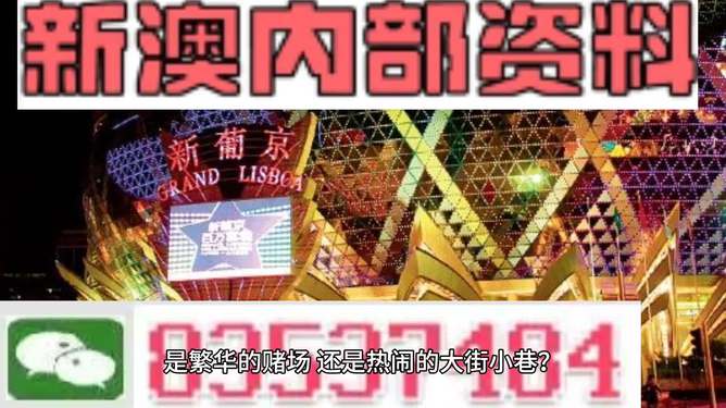 新澳門精準(zhǔn)資料大全與管家婆料，探索SEO的奧秘，探索SEO奧秘，新澳門精準(zhǔn)資料大全與管家婆料的秘密解析