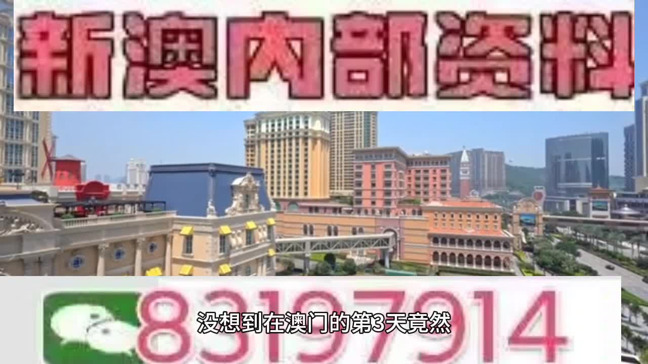 新澳門今晚必開一肖一特，探索生肖與特碼的魅力，澳門生肖特碼探索，今晚必開一肖一特之魅力