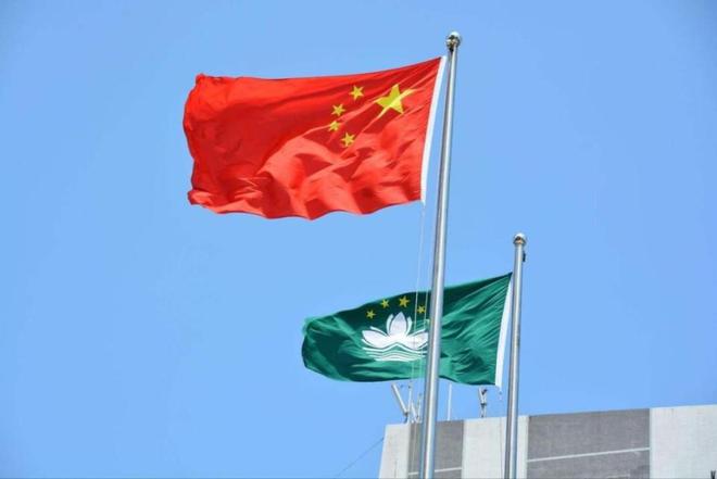 新澳門一碼一肖一特一中交易，探索與解析，澳門一碼一肖一特一中交易深度解析與探索
