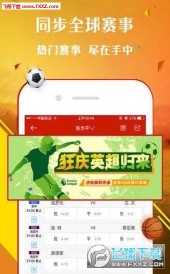 王中王一肖，歡迎您的到來，探索無與倫比的精彩世界，王中王一肖，探索無與倫比的精彩世界之旅