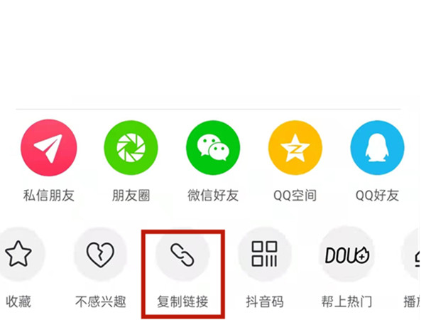 白小姐王中王中特一肖，神秘傳奇與SEO探索，神秘傳奇與SEO探索，白小姐王中王中特一肖的奧秘