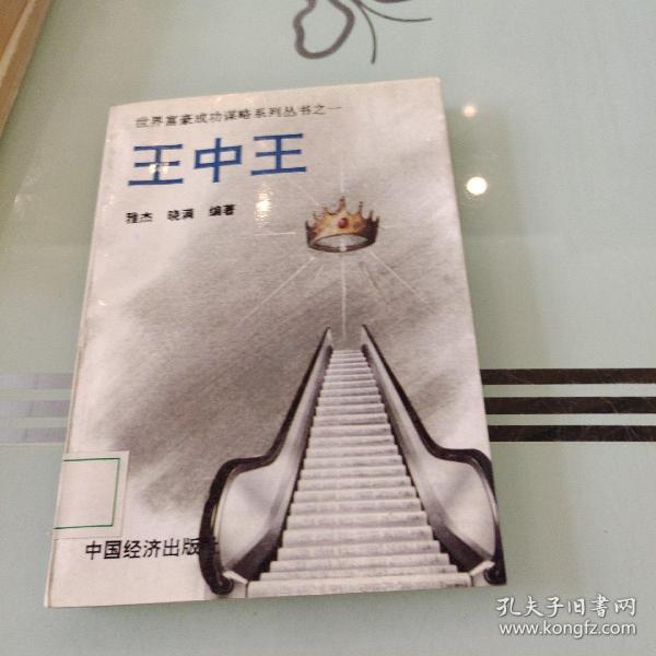 王中王的資料一肖中，深度解析與探索，王中王資料解析，一肖中的深度探索
