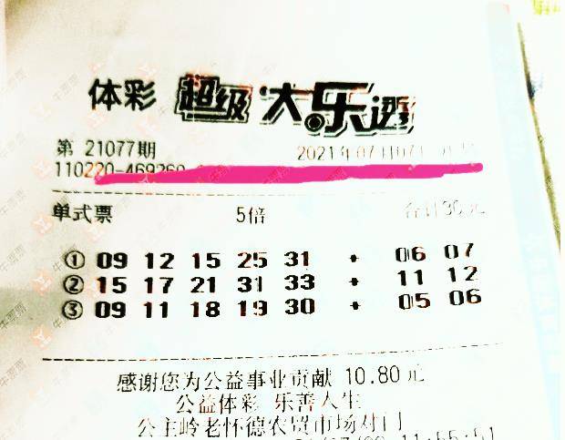 王中王077期指一生肖——揭秘背后的奧秘與生肖運(yùn)勢(shì)分析，揭秘生肖奧秘與運(yùn)勢(shì)分析，王中王生肖預(yù)測(cè)077期揭曉！