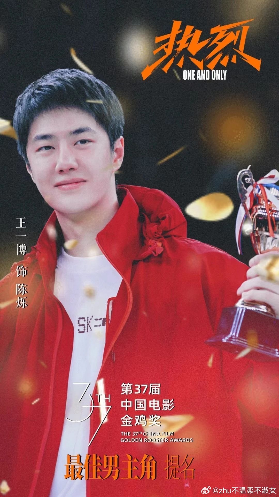 王中王一肖一特一中一中，探尋背后的故事與奧秘，探尋王中王一肖背后的故事與奧秘