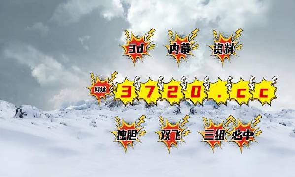 揭秘4887王中王精準資料，全方位解讀，讓你贏在起跑線，揭秘王中王精準資料，全方位解讀助你贏在起跑線