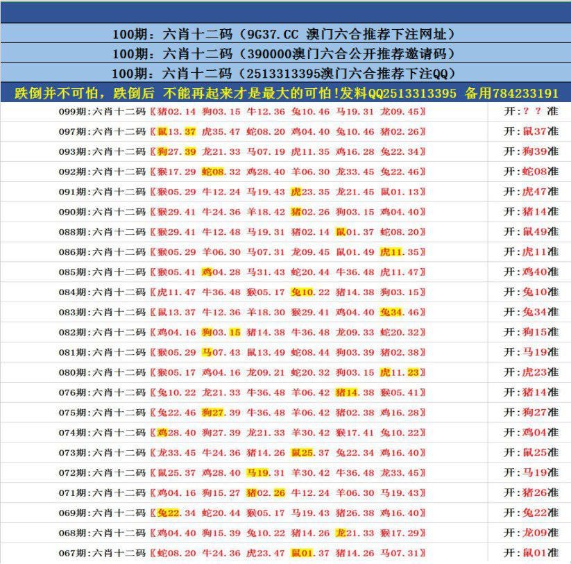 澳門無錯九肖今日搜狗，探索與解析，澳門無錯九肖今日搜狗，深度解析與探索