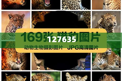 精準(zhǔn)新傳真，揭秘?cái)?shù)字組合7777788888的神秘面紗，揭秘?cái)?shù)字組合7777788888的神秘面紗，精準(zhǔn)新傳真解讀