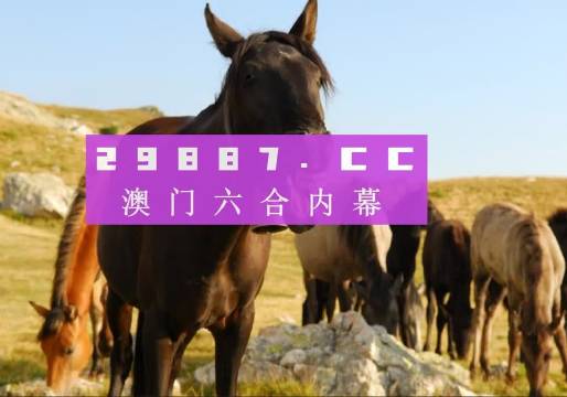 香港生肖精準管家婆之7777888888精準分析，香港生肖精準管家婆之精準分析，7777與8888的奧秘