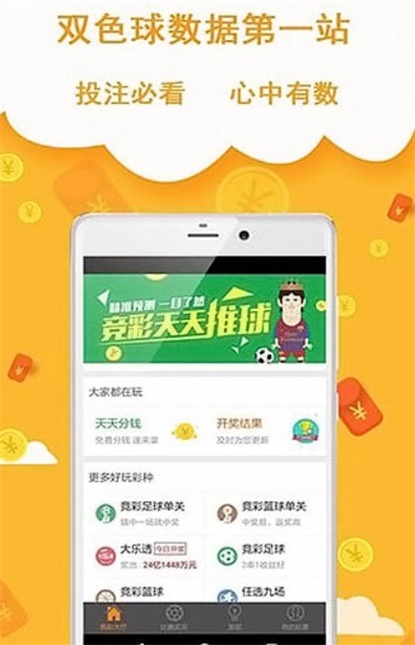 王中王493333中特網(wǎng)，探索與解析，王中王493333中特網(wǎng)，深度探索與解析