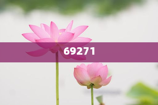 新澳今晚9點(diǎn)30分的精彩瞬間與背后故事揭秘，新澳之夜，精彩瞬間與幕后揭秘 9點(diǎn)30分的震撼時(shí)刻