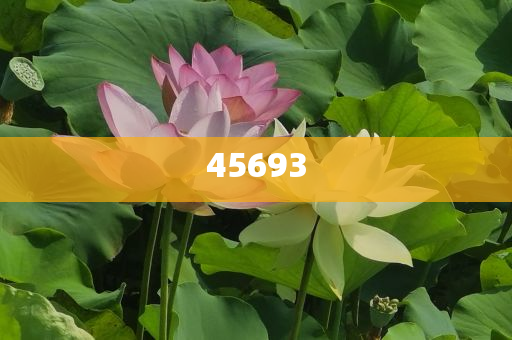 精準(zhǔn)管理一站式服務(wù)