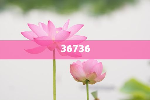 揭秘精準新傳秘籍，7777788888免費策略與SEO優(yōu)化，揭秘精準新傳秘籍，免費策略與SEO優(yōu)化指南
