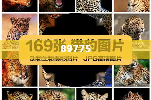 2025新奧歷史開獎記錄公布了嗎今天