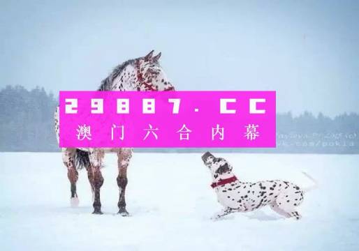 澳門一肖一碼狀元紅，揭秘彩票背后的秘密與策略，澳門彩票揭秘，狀元紅背后的秘密與策略解析