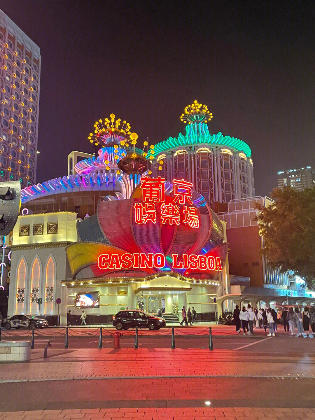 澳門今晚必開一肖一特芳草地，探索生肖與運勢的神秘面紗，澳門生肖運勢揭秘，探索今晚必開一肖一特芳草地神秘面紗的運勢之旅
