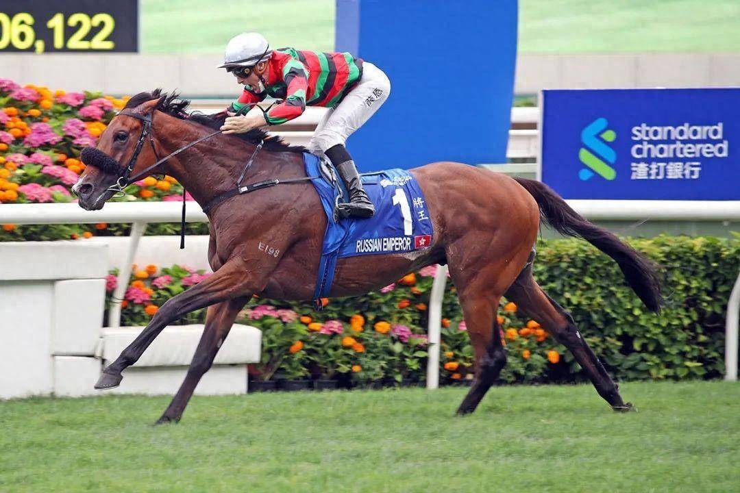 香港馬賽事，探索數(shù)字背后的激情與榮耀 7777788888，香港馬賽事，數(shù)字背后的激情與榮耀