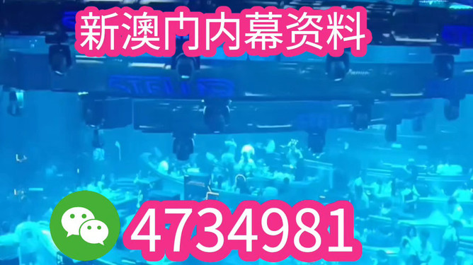 揭秘未來之星，2025新澳王中王，揭秘未來之星，2025新澳王中王風(fēng)采展示