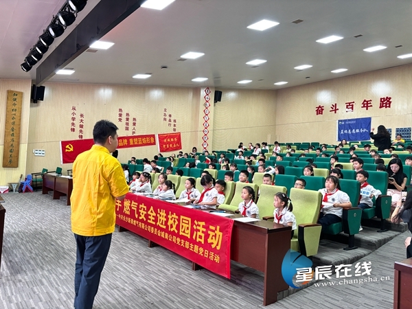 新奧49正版資料，探索與解析，新奧49正版資料深度探索與解析